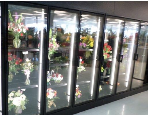 Blumenanzeigen-Weg in den Kühlvorrichtungen gehen in Glasfarbigen Stahl der tür Kühlvorrichtung