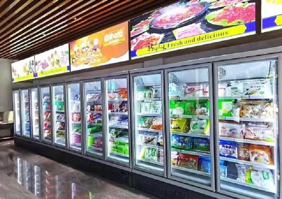 Kommerzieller aufrechter Gefrierschrank-Glastür 110V/60Hz 220-240V verstopfen in der Art UF2 für Eiscreme