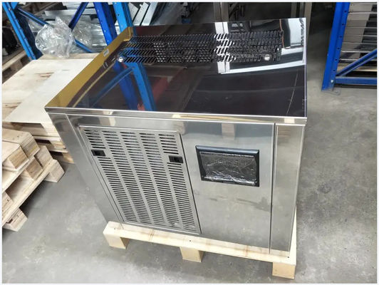 Fischmarkt-Flocken-Kühlbox-großer Speicher-sterile stille Energieeinsparung