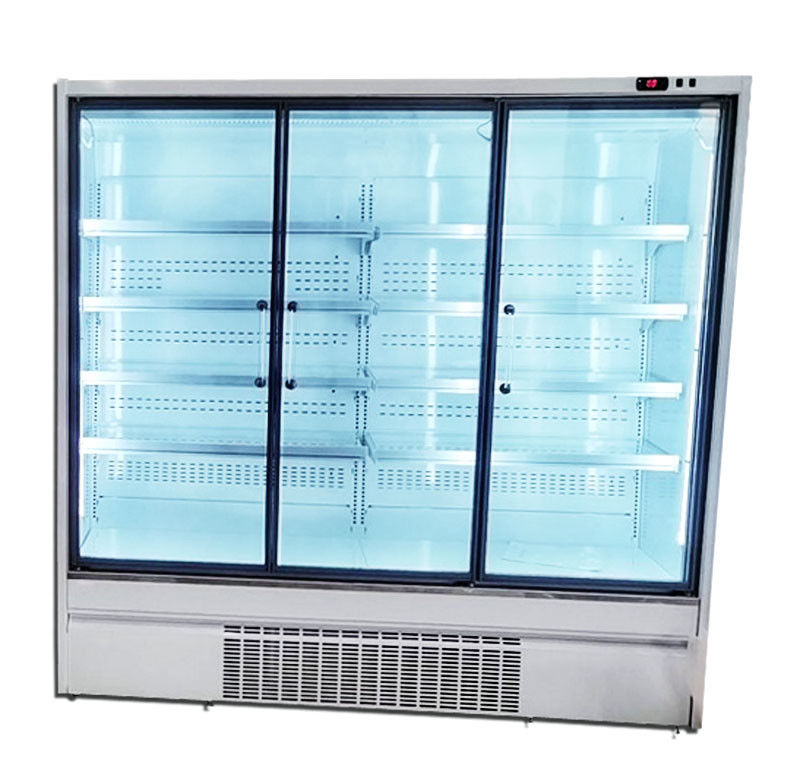 TÜR-der Kühlvorrichtung 2/3/4 des Supermarkt-R290 aufrechte Glastür 220V/50HZ